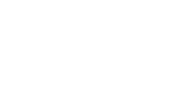Plant The Flag Media